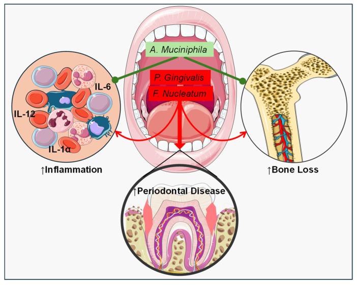 https://cdn.ncbi.nlm.nih.gov/pmc/blobs/c23b/11434887/84e41440c245/nutrients-16-03075-g003.jpg