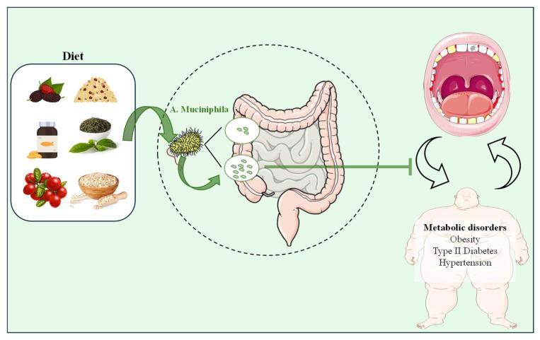 https://cdn.ncbi.nlm.nih.gov/pmc/blobs/c23b/11434887/e13a02af8449/nutrients-16-03075-g005.jpg