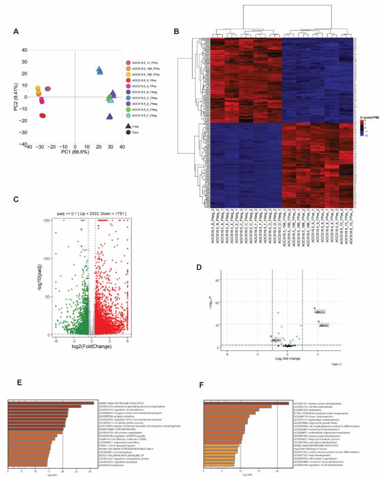 https://cdn.ncbi.nlm.nih.gov/pmc/blobs/c23c/8616176/61eca60455be/cancers-13-05644-g002.jpg