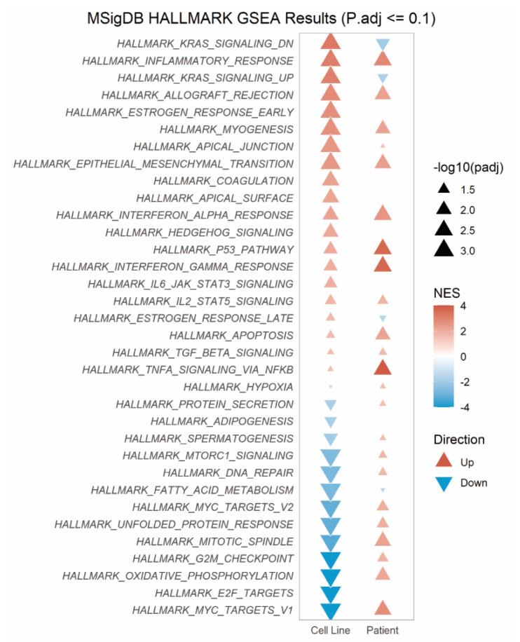 https://cdn.ncbi.nlm.nih.gov/pmc/blobs/c23c/8616176/6523c937de41/cancers-13-05644-g003.jpg