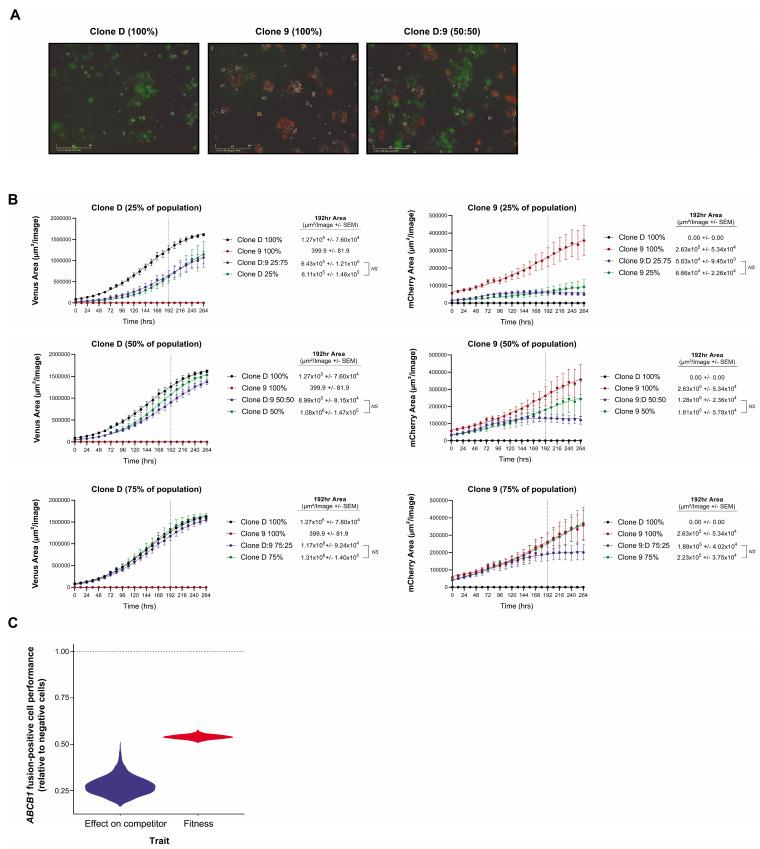 https://cdn.ncbi.nlm.nih.gov/pmc/blobs/c23c/8616176/803a78bb57c9/cancers-13-05644-g005.jpg