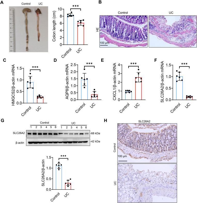 https://cdn.ncbi.nlm.nih.gov/pmc/blobs/c23d/12143574/1ab88f1754b6/pone.0324586.g005.jpg