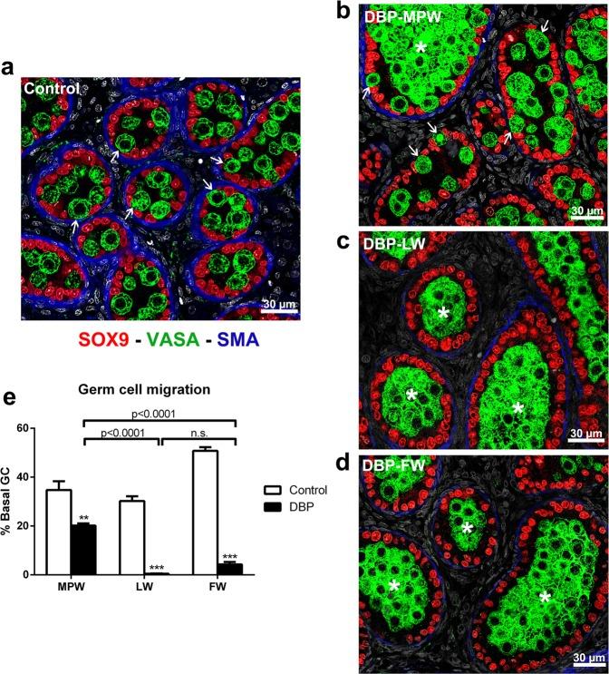 https://cdn.ncbi.nlm.nih.gov/pmc/blobs/c23f/5451485/119f0adc0119/41598_2017_2684_Fig7_HTML.jpg