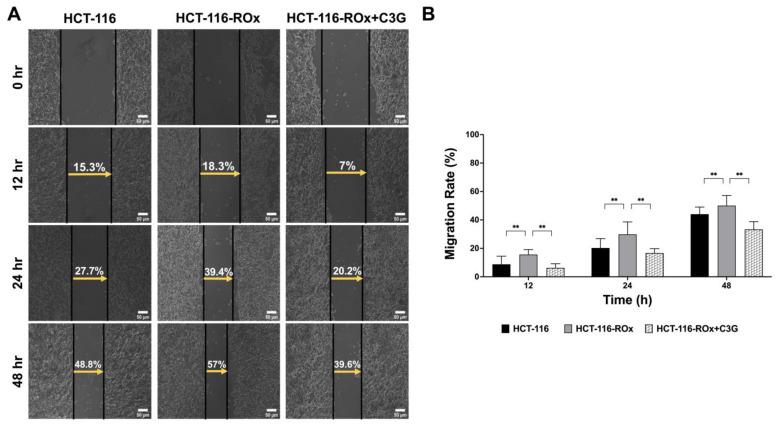 https://cdn.ncbi.nlm.nih.gov/pmc/blobs/c241/10674439/bdff52a65c1a/nutrients-15-04705-g003.jpg
