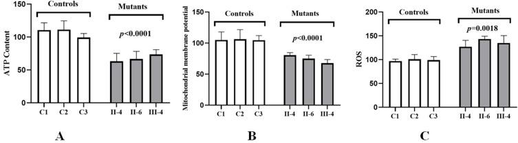 https://cdn.ncbi.nlm.nih.gov/pmc/blobs/c241/11032666/08cba21c4744/PGPM-17-149-g0005.jpg