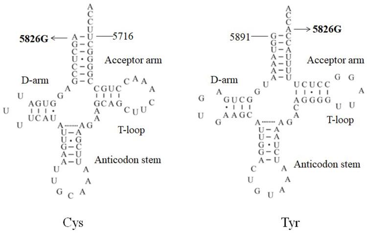 https://cdn.ncbi.nlm.nih.gov/pmc/blobs/c241/11032666/0b6ea22abd84/PGPM-17-149-g0004.jpg