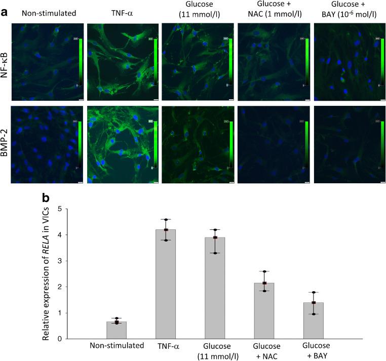 https://cdn.ncbi.nlm.nih.gov/pmc/blobs/c241/8494674/a1f926bdf3aa/125_2021_5545_Fig6_HTML.jpg