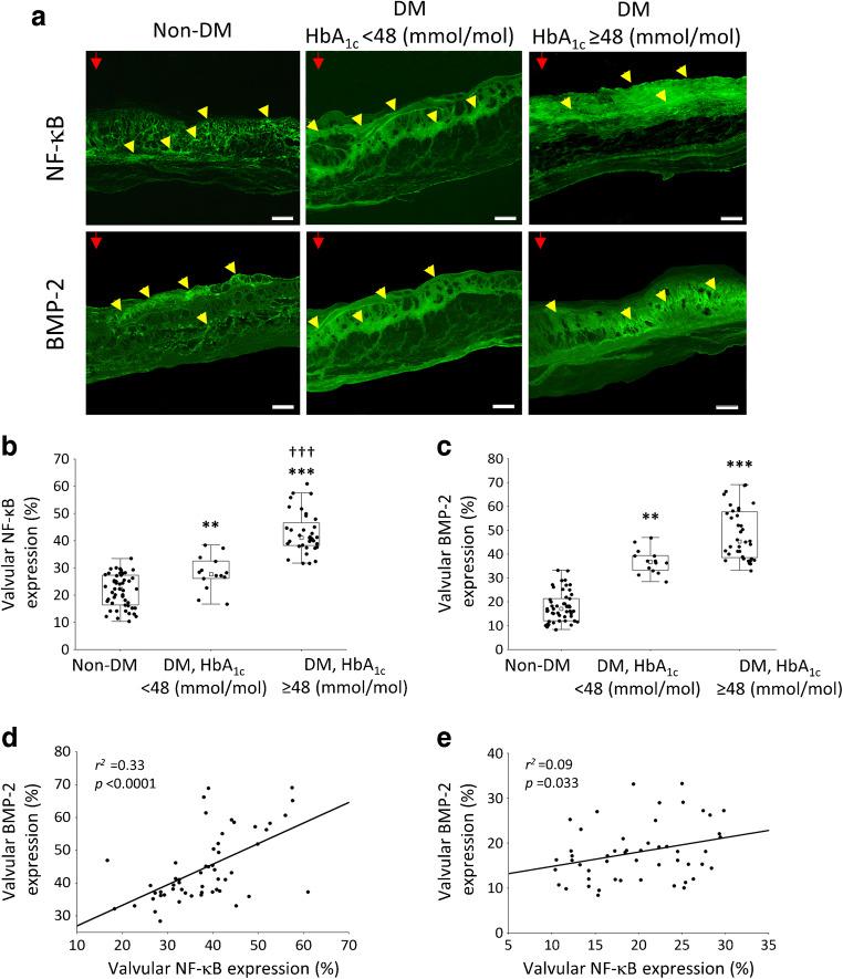 https://cdn.ncbi.nlm.nih.gov/pmc/blobs/c241/8494674/c17cf90034bd/125_2021_5545_Fig1_HTML.jpg