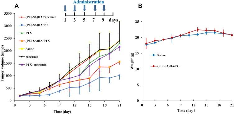 https://cdn.ncbi.nlm.nih.gov/pmc/blobs/c246/6898996/6d42aa629c28/IJN-14-9453-g0007.jpg