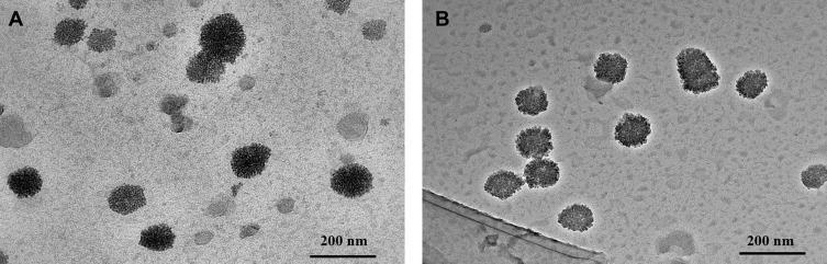 https://cdn.ncbi.nlm.nih.gov/pmc/blobs/c246/6898996/9ed5cc46a641/IJN-14-9453-g0003.jpg