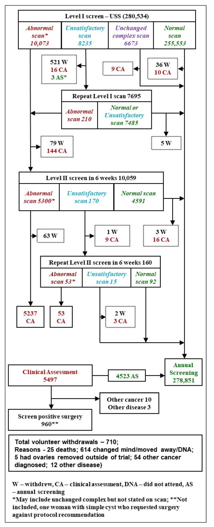https://cdn.ncbi.nlm.nih.gov/pmc/blobs/c246/7922843/af44c7fe002e/cancers-13-00858-g002.jpg