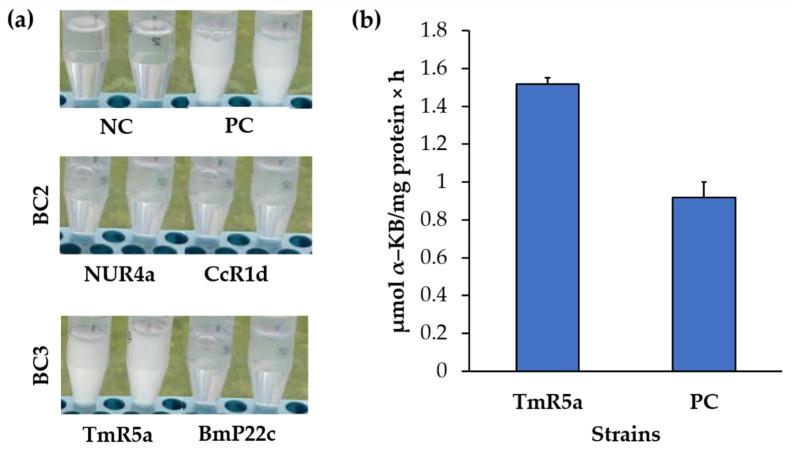 https://cdn.ncbi.nlm.nih.gov/pmc/blobs/c248/7998784/729afa0e8fd4/microorganisms-09-00538-g009.jpg
