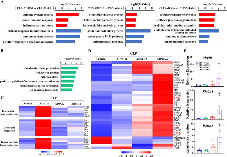 https://cdn.ncbi.nlm.nih.gov/pmc/blobs/c249/9940377/315270ec3824/13287_2023_3253_Fig6_HTML.jpg