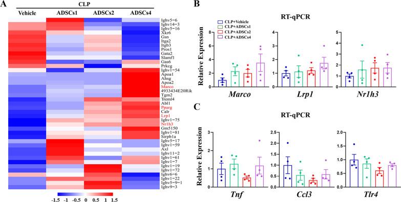 https://cdn.ncbi.nlm.nih.gov/pmc/blobs/c249/9940377/52a6117e2a99/13287_2023_3253_Fig4_HTML.jpg