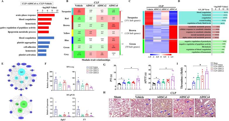 https://cdn.ncbi.nlm.nih.gov/pmc/blobs/c249/9940377/7f829e6262fe/13287_2023_3253_Fig5_HTML.jpg