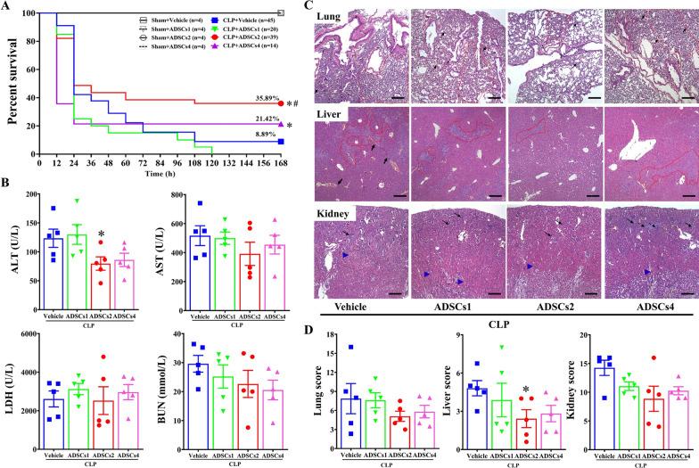 https://cdn.ncbi.nlm.nih.gov/pmc/blobs/c249/9940377/8a412c817c73/13287_2023_3253_Fig1_HTML.jpg