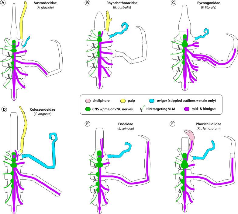 https://cdn.ncbi.nlm.nih.gov/pmc/blobs/c24b/8973786/b56f7c963c43/12983_2022_459_Fig16_HTML.jpg