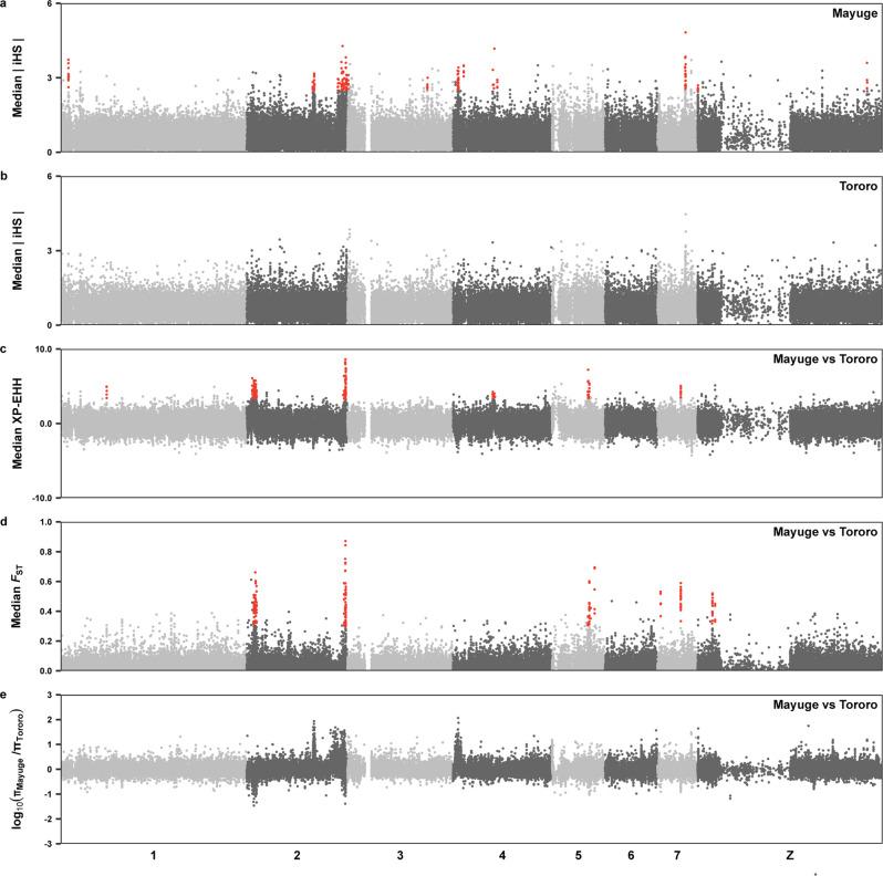 https://cdn.ncbi.nlm.nih.gov/pmc/blobs/c24d/8346512/c6051197772d/41467_2021_24958_Fig4_HTML.jpg