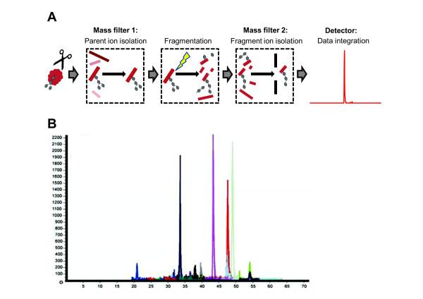 https://cdn.ncbi.nlm.nih.gov/pmc/blobs/c24e/3751898/34ef6475d8b4/1741-7015-11-31-3.jpg
