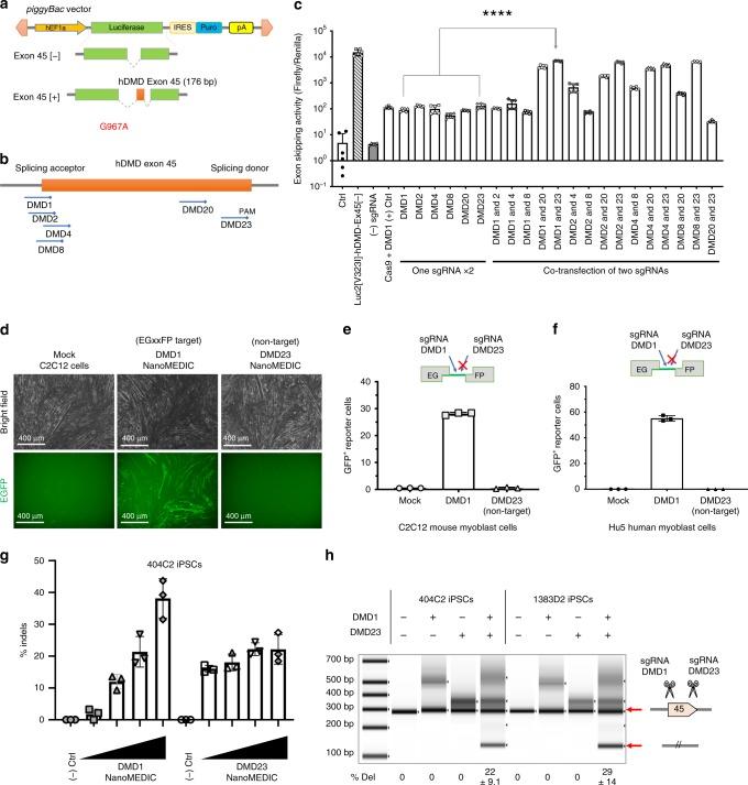 https://cdn.ncbi.nlm.nih.gov/pmc/blobs/c24e/7070030/df3c71dc5cd3/41467_2020_14957_Fig3_HTML.jpg