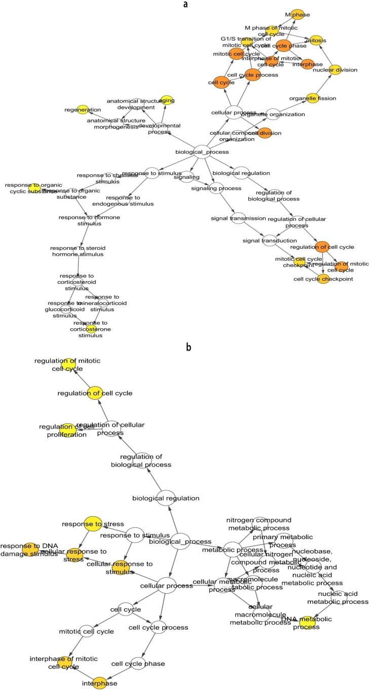 https://cdn.ncbi.nlm.nih.gov/pmc/blobs/c24f/5353982/a5f4a1d38325/ijmcm-5-199-g005.jpg
