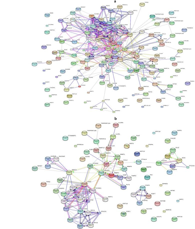https://cdn.ncbi.nlm.nih.gov/pmc/blobs/c24f/5353982/cc74c8724ee8/ijmcm-5-199-g001.jpg