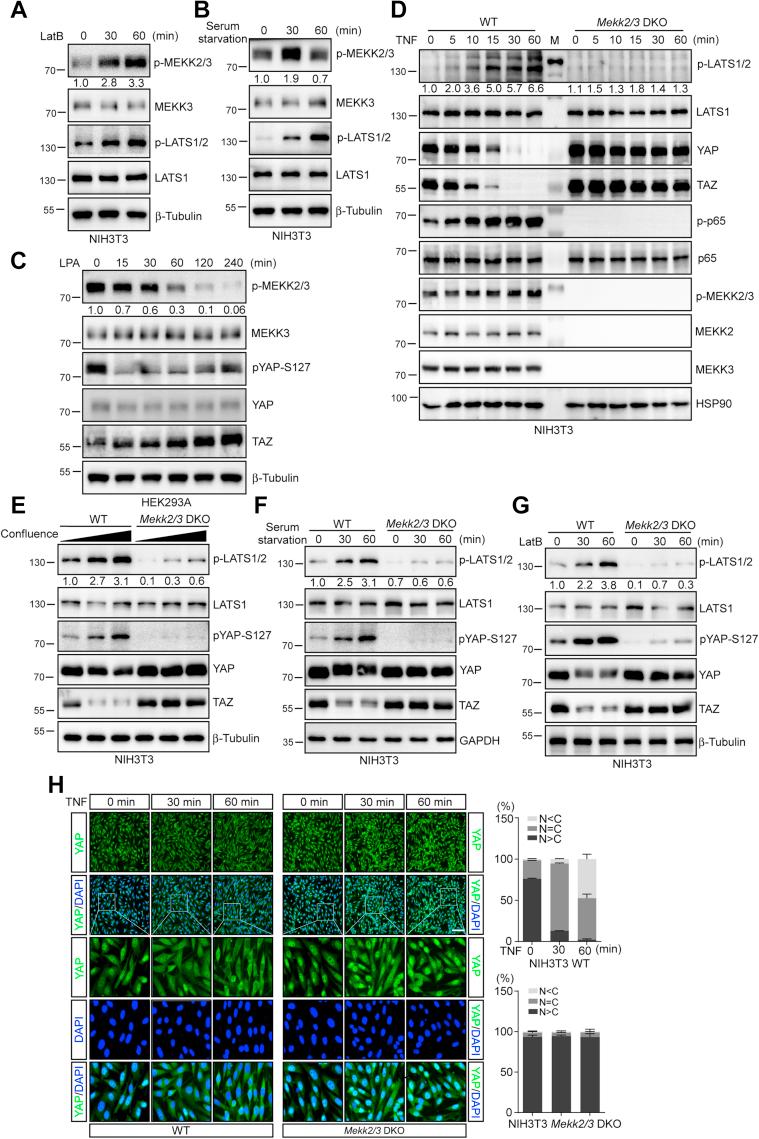 https://cdn.ncbi.nlm.nih.gov/pmc/blobs/c24f/7948509/5913f654975e/gr5.jpg