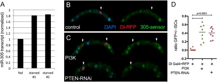 https://cdn.ncbi.nlm.nih.gov/pmc/blobs/c250/4215186/1a04db9b1f53/2421fig6.jpg