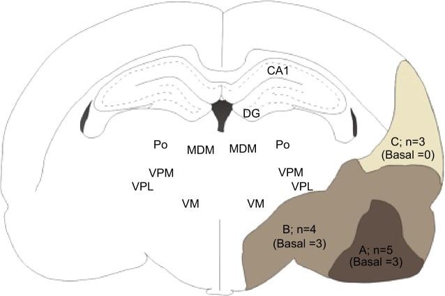 https://cdn.ncbi.nlm.nih.gov/pmc/blobs/c250/4298295/2ef881333c09/ndt-11-153Fig1.jpg