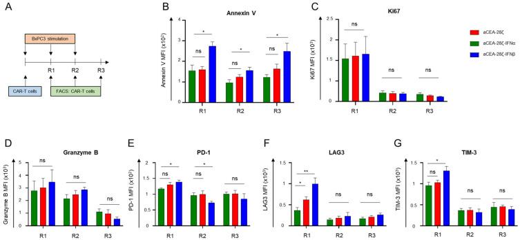 https://cdn.ncbi.nlm.nih.gov/pmc/blobs/c251/9737386/56662580fbd6/cells-11-03839-g004.jpg
