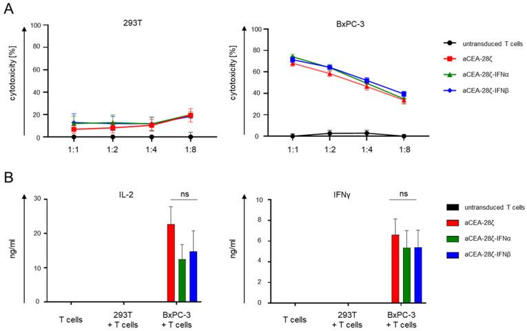 https://cdn.ncbi.nlm.nih.gov/pmc/blobs/c251/9737386/e10d8b17af59/cells-11-03839-g002.jpg