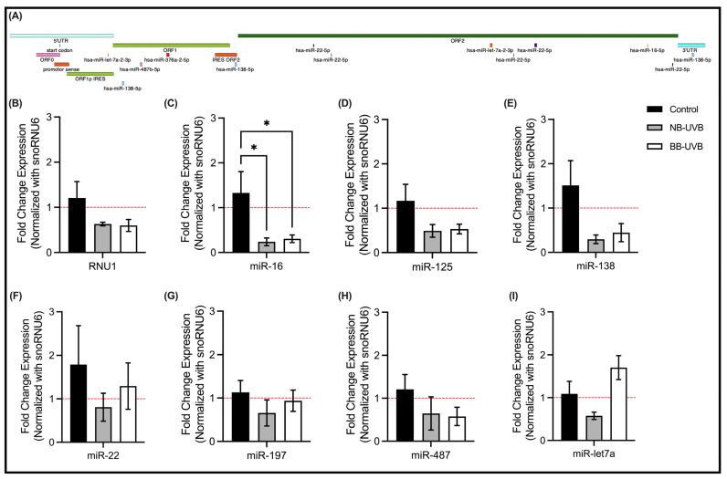 https://cdn.ncbi.nlm.nih.gov/pmc/blobs/c252/10669206/028ddb0c468b/biomedicines-11-03017-g007.jpg