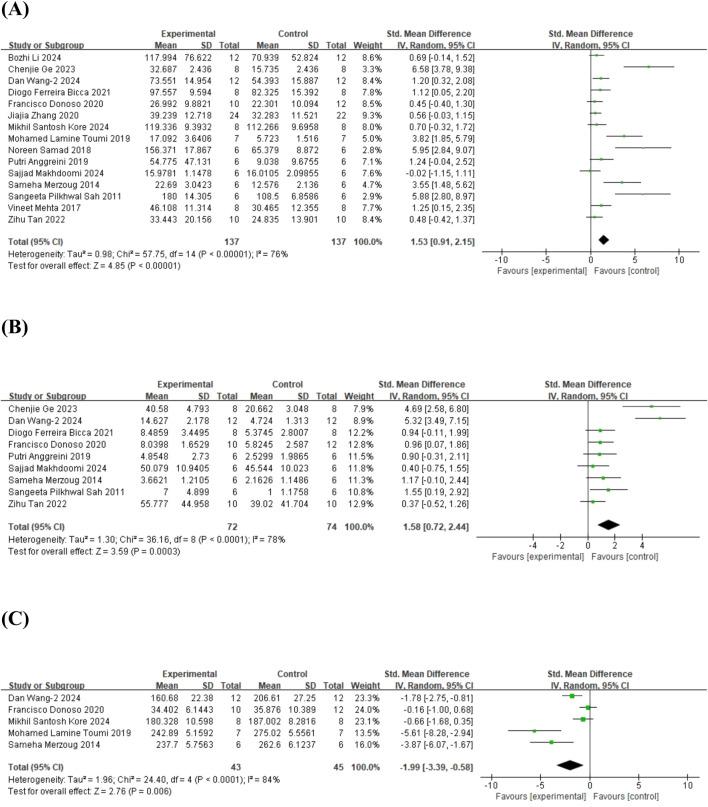 https://cdn.ncbi.nlm.nih.gov/pmc/blobs/c252/12280726/05ef3717c52e/fphar-16-1598053-g006.jpg