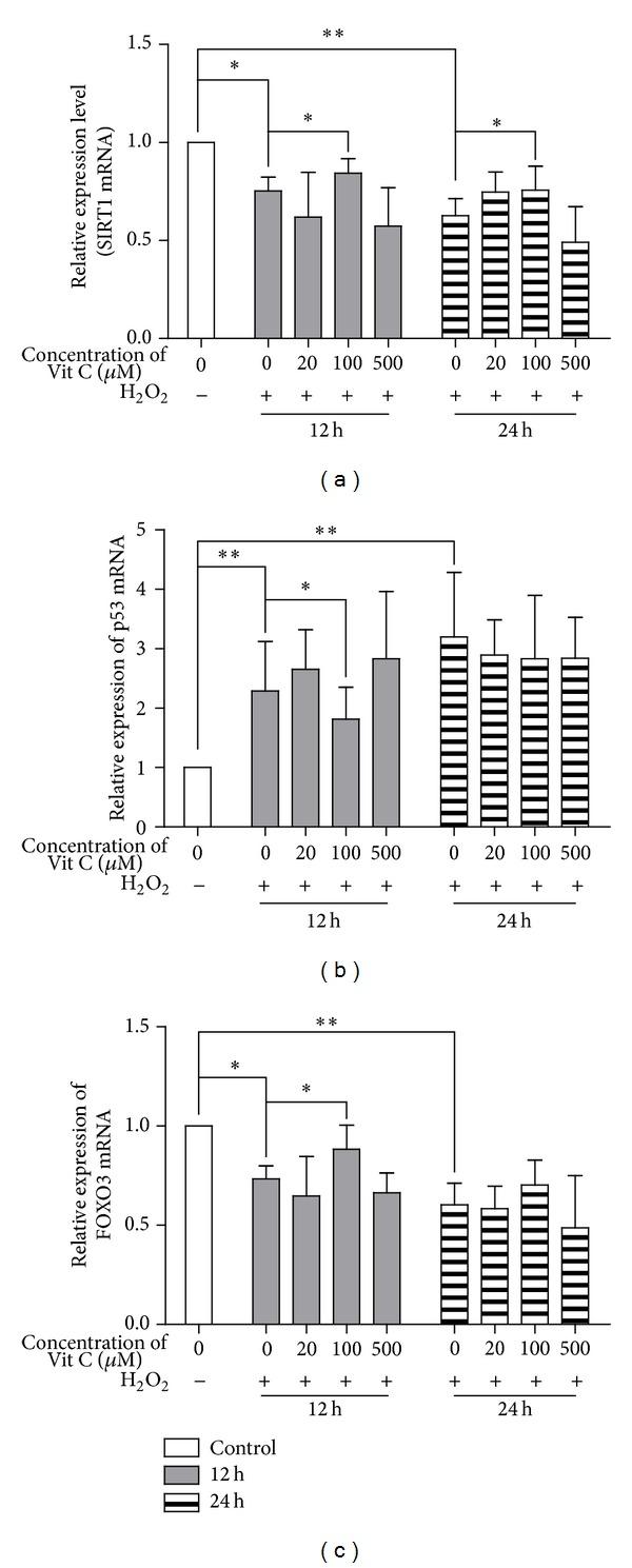 https://cdn.ncbi.nlm.nih.gov/pmc/blobs/c252/4132313/65ad4c159b75/TSWJ2014-750634.002.jpg