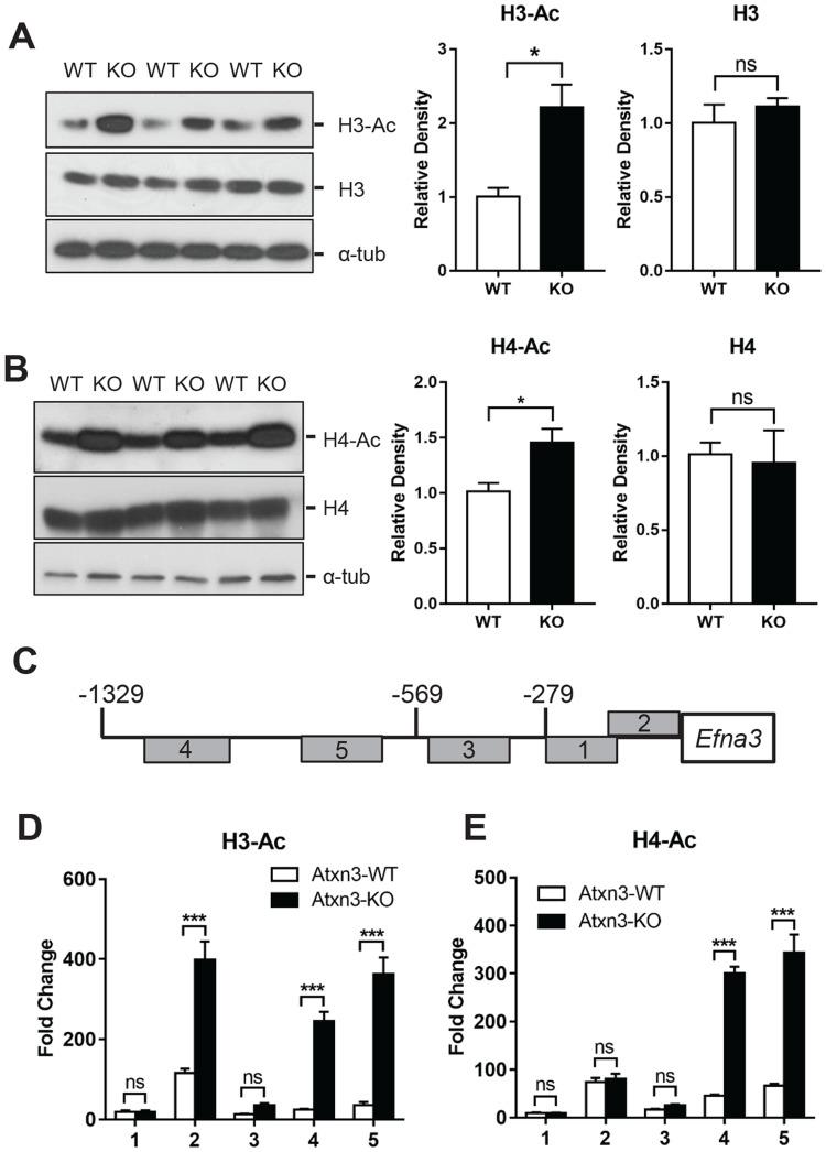 https://cdn.ncbi.nlm.nih.gov/pmc/blobs/c252/6145529/bdd3bc8cadcf/pone.0204438.g003.jpg