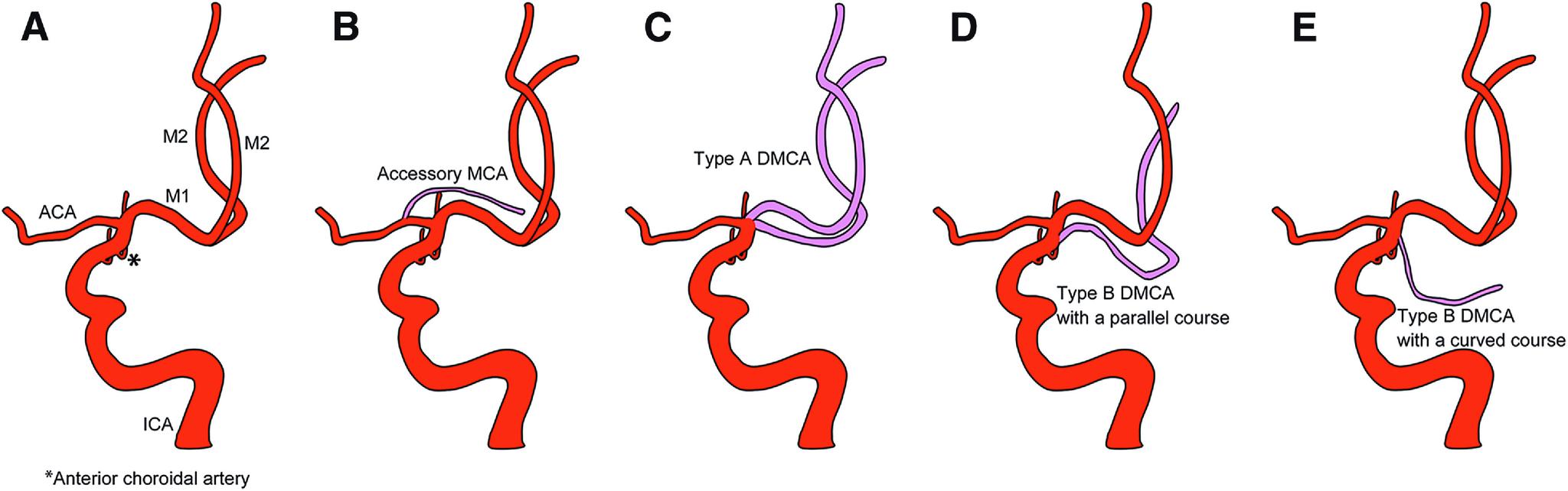 https://cdn.ncbi.nlm.nih.gov/pmc/blobs/c253/10370823/f8130c0587a0/jnet-16-510-g003.jpg
