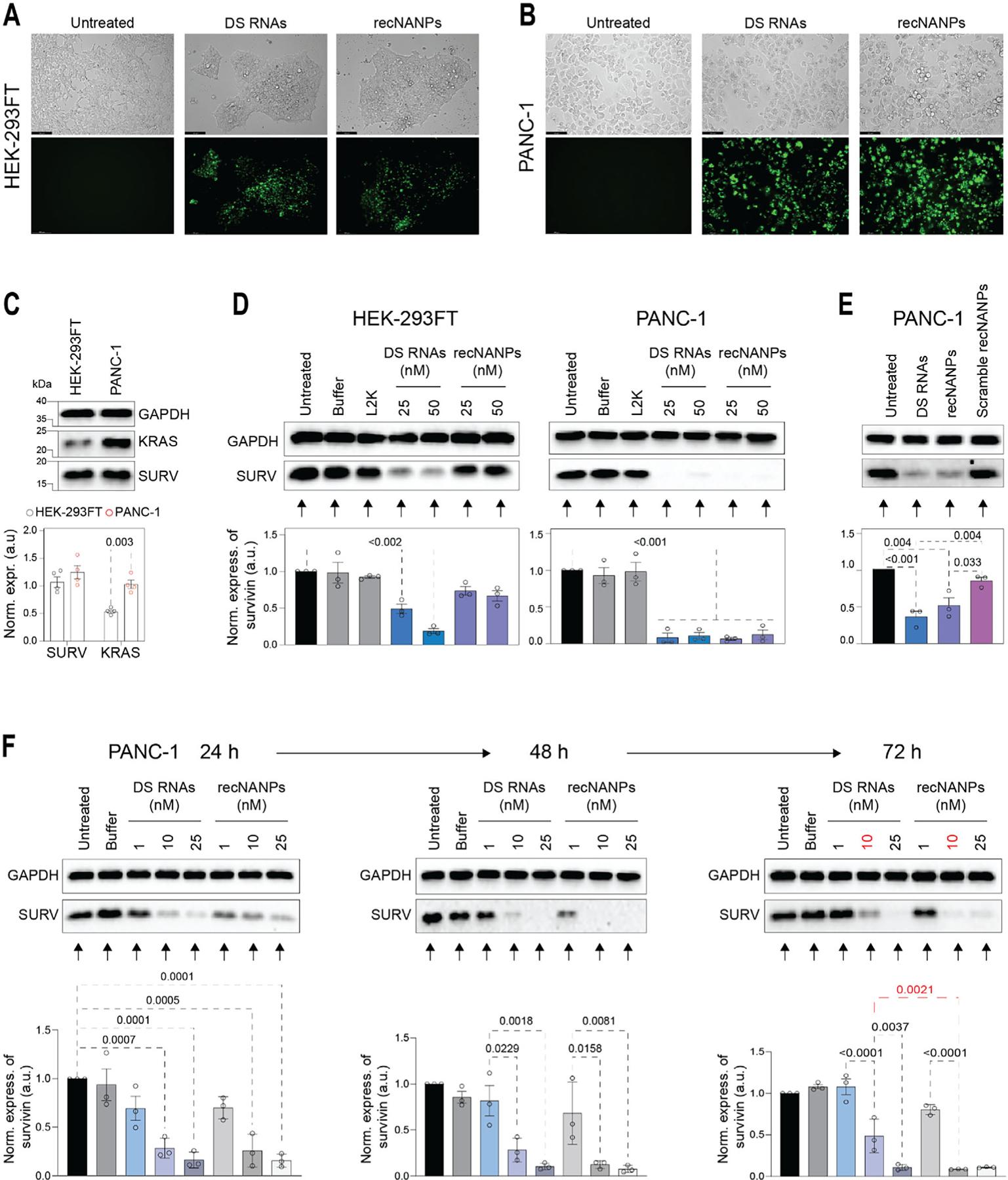 https://cdn.ncbi.nlm.nih.gov/pmc/blobs/c253/12369976/07c168e79865/nihms-2101912-f0003.jpg