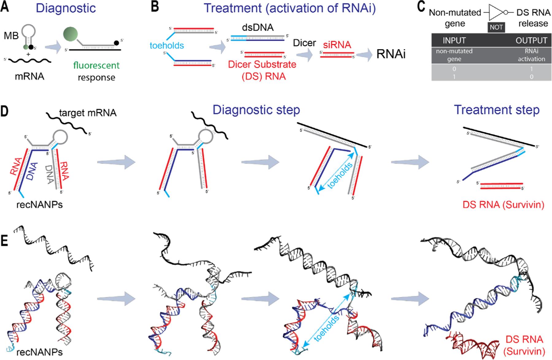 https://cdn.ncbi.nlm.nih.gov/pmc/blobs/c253/12369976/285a6f74b6d0/nihms-2101912-f0001.jpg