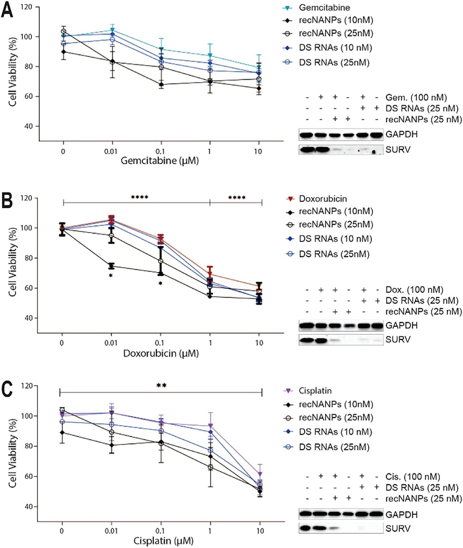 https://cdn.ncbi.nlm.nih.gov/pmc/blobs/c253/12369976/61b6fee4df28/nihms-2101912-f0005.jpg
