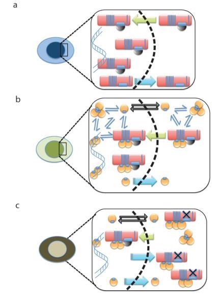 https://cdn.ncbi.nlm.nih.gov/pmc/blobs/c253/3796201/e3113889834c/emss-54176-f0007.jpg