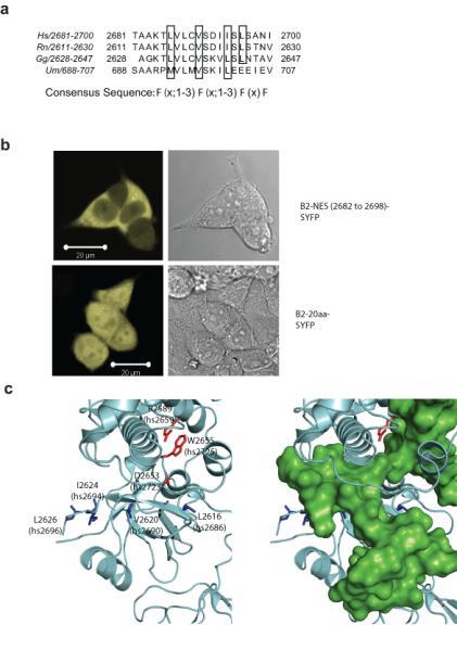 https://cdn.ncbi.nlm.nih.gov/pmc/blobs/c253/3796201/e618fa49797b/emss-54176-f0002.jpg