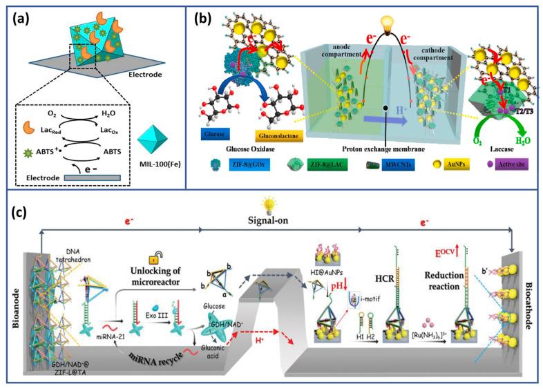 https://cdn.ncbi.nlm.nih.gov/pmc/blobs/c256/12024621/6b8041ccda9d/biosensors-15-00218-g006.jpg