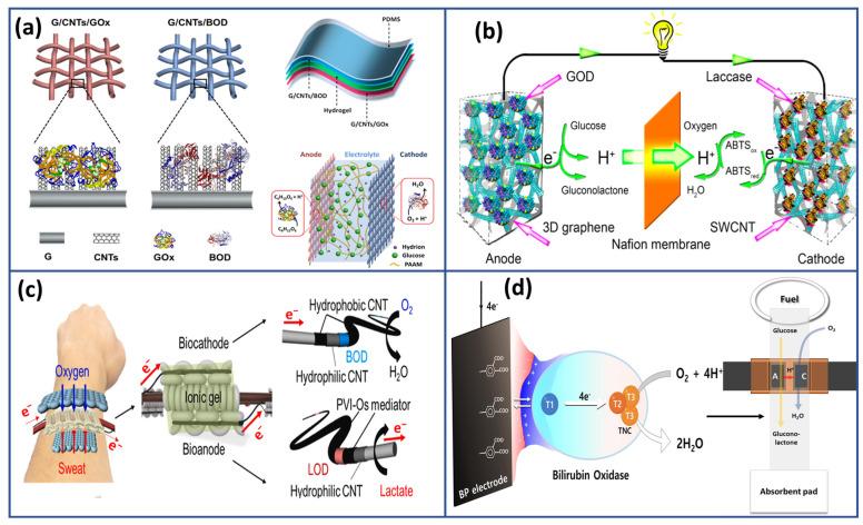 https://cdn.ncbi.nlm.nih.gov/pmc/blobs/c256/12024621/fe11b3a6273f/biosensors-15-00218-g003.jpg