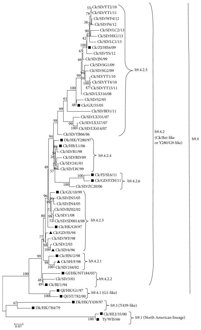 https://cdn.ncbi.nlm.nih.gov/pmc/blobs/c256/4644933/c017e5a657e4/BMRI2015-267520.001.jpg