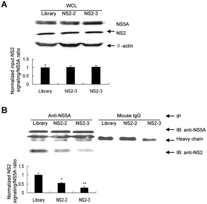 https://cdn.ncbi.nlm.nih.gov/pmc/blobs/c257/3938669/70e7c38bd4de/pone.0090333.g006.jpg