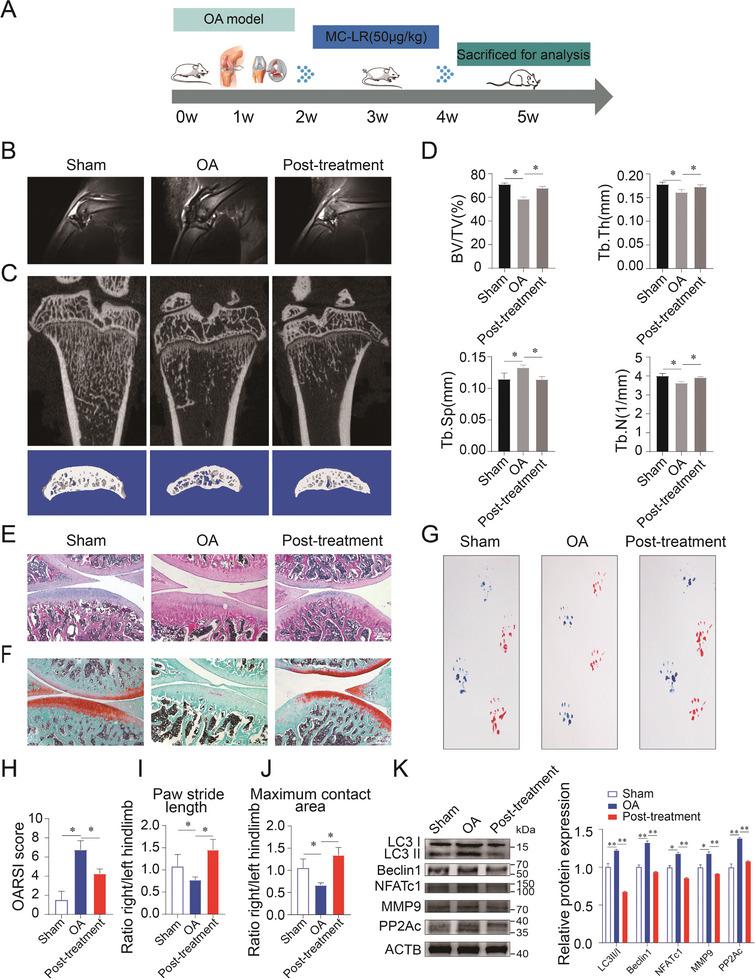 https://cdn.ncbi.nlm.nih.gov/pmc/blobs/c259/11423161/77f205c97b4a/ADVS-11-2404080-g001.jpg