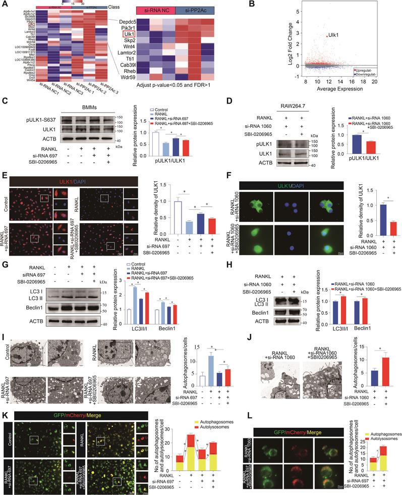 https://cdn.ncbi.nlm.nih.gov/pmc/blobs/c259/11423161/eafc889ee293/ADVS-11-2404080-g002.jpg