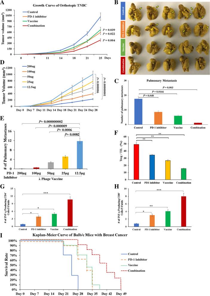 https://cdn.ncbi.nlm.nih.gov/pmc/blobs/c259/8991500/0a162668c7f8/13046_2022_2307_Fig2_HTML.jpg
