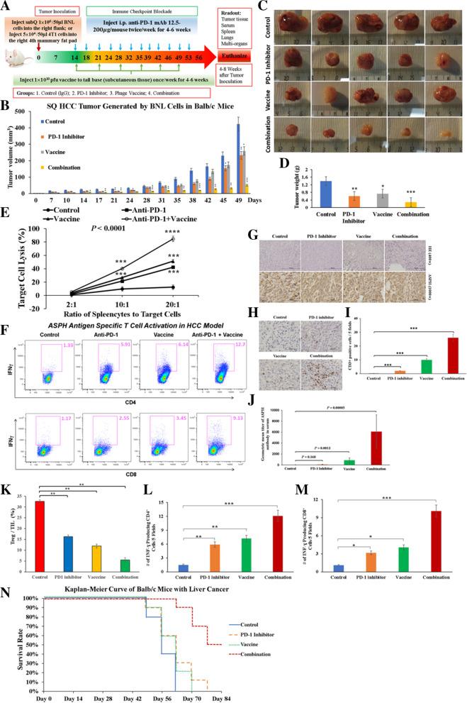 https://cdn.ncbi.nlm.nih.gov/pmc/blobs/c259/8991500/3a1cdddefce2/13046_2022_2307_Fig1_HTML.jpg