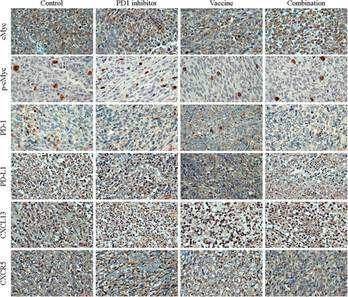 https://cdn.ncbi.nlm.nih.gov/pmc/blobs/c259/8991500/8cdf4233afb9/13046_2022_2307_Fig5_HTML.jpg